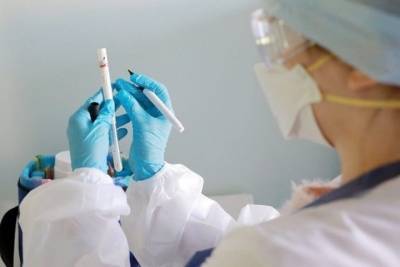 71 случай заражения коронавирусом за сутки выявили в Поморье