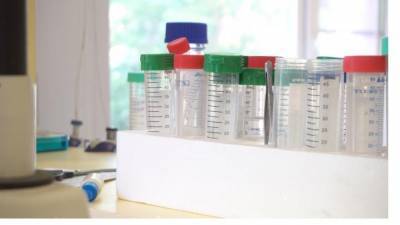 В Центральном районе Петербурга откроют лабораторию для тестов на коронавирус