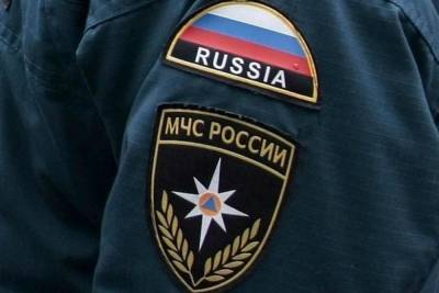 МЧС проведет проверку систем оповещения в Рязанской области