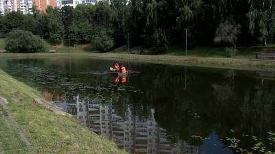 До конца года в Москве приведут в порядок 15 прудов