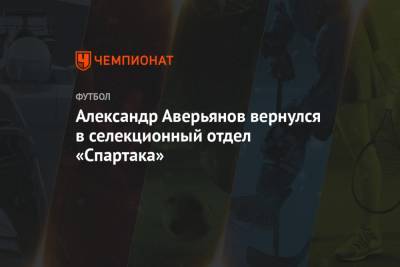 Александр Аверьянов вернулся в селекционный отдел «Спартака»