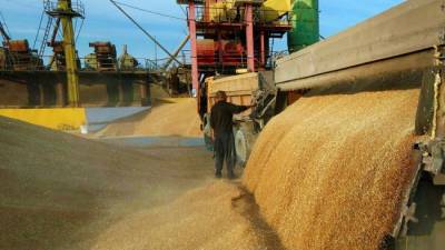 Bloomberg: Россия вышла на первое место по экспорту пшеницы в Европе