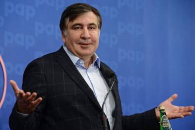 Саакашвили не навредит «доброй воле граждан Грузии и Украины» — посол