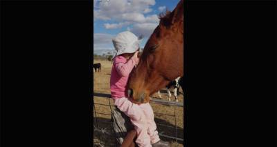"Что же она делает со мной": трехлетняя малышка спела для лошади и сорвала миллионы лаков