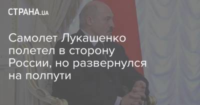 Самолет Лукашенко полетел в сторону России, но развернулся на полпути