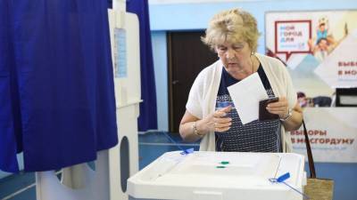 Памфилова призвала партии и кандидатов привлекать наблюдателей на выборы