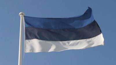 Экономист объяснил неоднозначную позицию Эстонии по «Северному потоку–2»