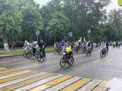 Велопарад переведет липецкий транспорт в режим ожидания