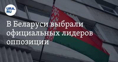 В Беларуси выбрали официальных лидеров оппозиции