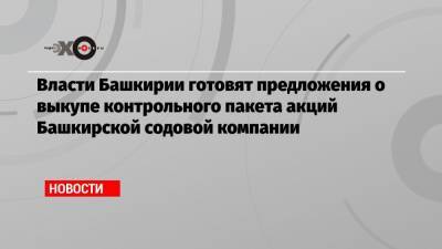 Власти Башкирии готовят предложения о выкупе контрольного пакета акций Башкирской содовой компании