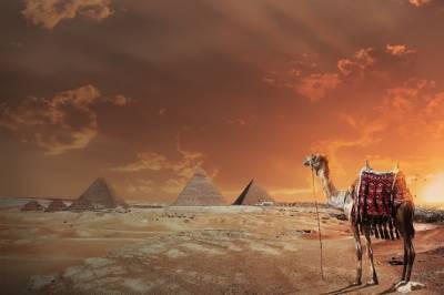 Власти Египта посчитали убытки и решили открыть пирамиды
