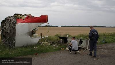 Антипов выложил в Сеть фото кабины разбившегося MH17