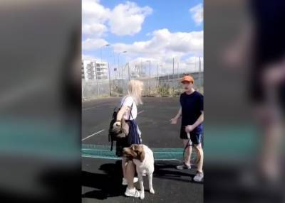 Полиция выясняет причину конфликта между женщиной с собакой и теннисистом в столице