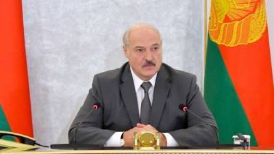 «Деньги поступают в открытую»: Лукашенко поручил усилить охрану границ Белоруссии