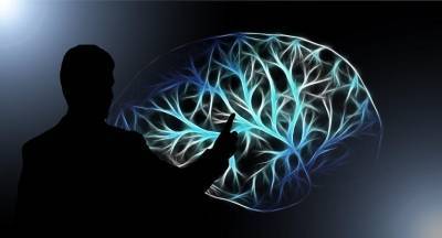 Учёные раскрыли новый секрет головного мозга человека