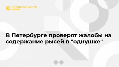 В Петербурге проверят жалобы на содержание рысей в "однушке"