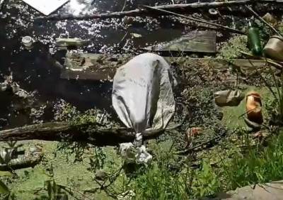 В Рязани в пруд выбросили мешок с живыми щенками