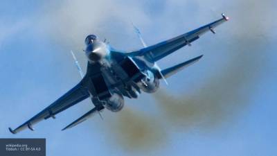 Истребитель ВКС РФ отогнал от российских границ самолет-разведчик США