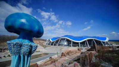 Приморский океанариум открыл новый образовательный курс для школьников