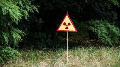 В Чернобыле заметили опаснейшее существо, с которым лучше никогда не встречаться (фото)