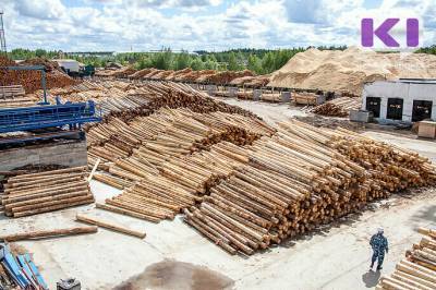 Владимир Уйба предложил запустить в Троицко-Печорске производство медицинского препарата из древесины