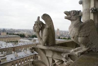 Разборка и ремонт органа собора Нотр-Дама в Париже начнется 3 августа