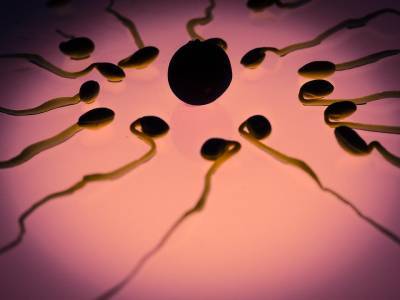 Ученые сравнили сперматозоид со штопором и выдрой