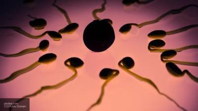 Ученые обнаружили сходство сперматозоида с плывущей выдрой
