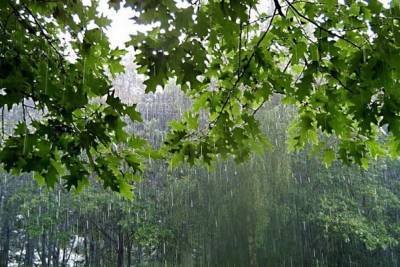 Местами сильный дождь и гроза. Погода в Ульяновской области на 2 августа