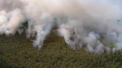 Уральские пожарные укротили огненную стихию в заповеднике "Денежкин камень"