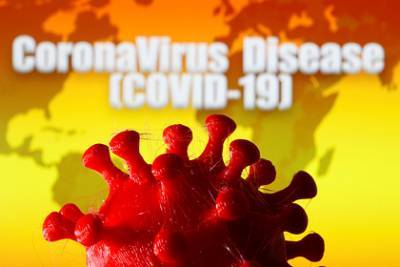 Число заразившихся коронавирусом в мире превысило 18 миллионов