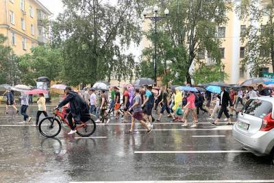 Хабаровская мэрия рассказала о причинах уменьшения числа митингующих