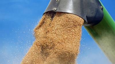 Рубеж в 4,5 миллиона тонн зерна преодолели аграрии Волгоградской области