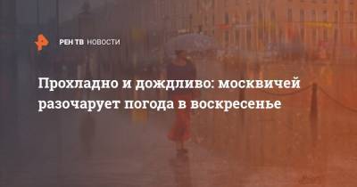 Прохладно и дождливо: москвичей разочарует погода в воскресенье