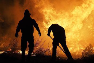 В Сочи потушили лесной пожар, бушевавший два дня