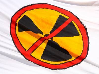 Антирадиационный щит сделают из обнаруженной в Чернобыле плесени