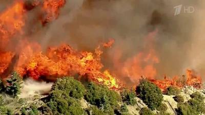 В Калифорнии пламя лесных пожаров стремительно подбирается к жилым домам