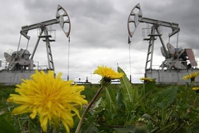 Эксперт признал хеджирование нефтяных цен благоприятным для экономики России
