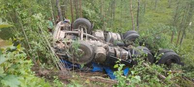 Опубликованы снимки с места ДТП в Карелии, где пострадал водитель лесовоза (ФОТО)