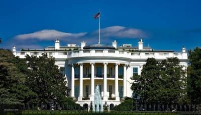 Белый дом: Трамп не планировал переносить президентские выборы в США