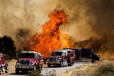 В Калифорнии из-за крупного лесного пожара эвакуировали почти 8 тысяч человек: фото