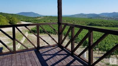 Путешествие в Абрау-Дюрсо: чем живет винодельческий край семьи Титовых