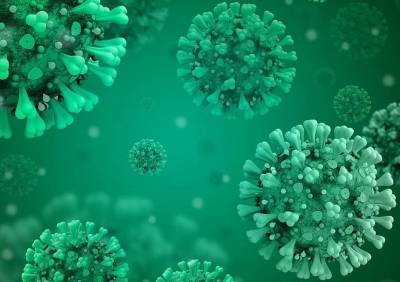 Ученые узнали о сильнейшей иммунной реакции при коронавирусе