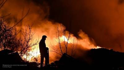 Несколько районов Турции охватили лесные пожары