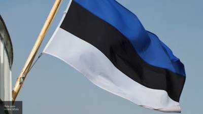 Политик в Эстонии призвал ЕС отменить санкции против России