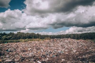 Владимирские эксперты ОНФ просят надзорные органы запретить незаконный завоз мусора на свалку под Покровом