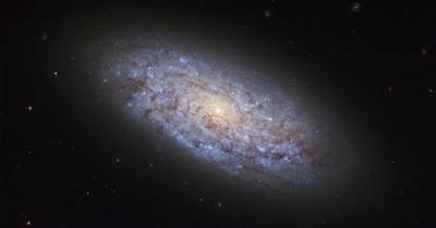 Ученые: «Взрыв сверхновой мог вызвать массовое вымирание в девонский период»