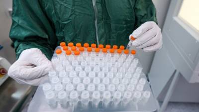 В Перу сообщили о получении партии российских тестов на коронавирус