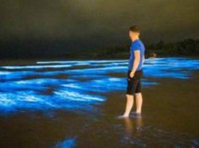 В Ирландии волны на пляже засверкали благодаря биолюминесцентному планктону
