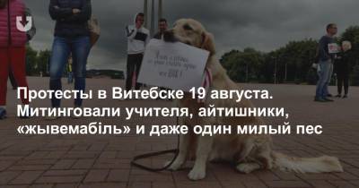 Протесты в Витебске 19 августа. Митинговали учителя, айтишники, «жывемабіль» и даже один милый пес
